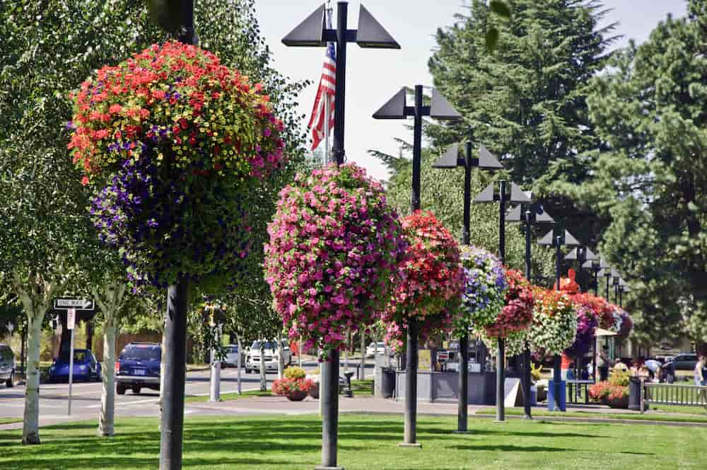 Beautiful Park in Beaverton, OR